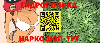гашик Бузулук