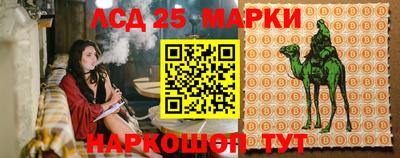 гашик Бузулук