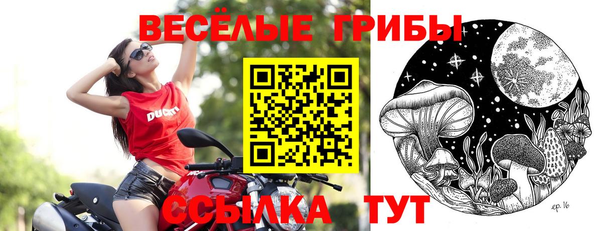 Новый Уренгой  Галлюциногенные грибы прущие грибы  Вход с VPN 